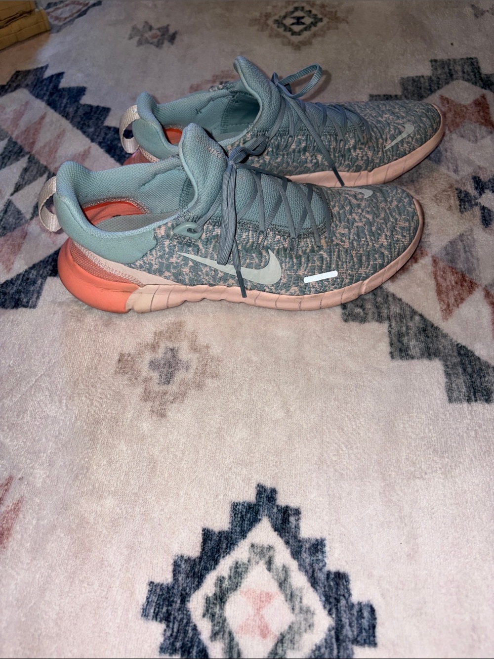 Nike Free Run 5.0 "Ocean Cube"